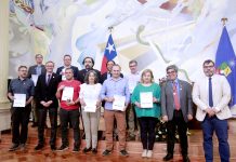 Universidad de Chile reconoce a académicos del DFC por su aporte a la investigación