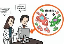 Estudio pionero en Chile: con mini robots desvelan los secretos de las bacterias magnéticas